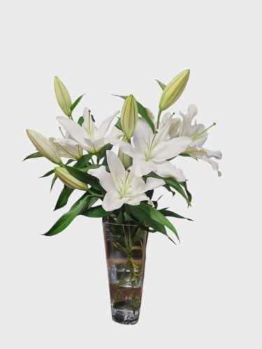 Kaastundekimp 2